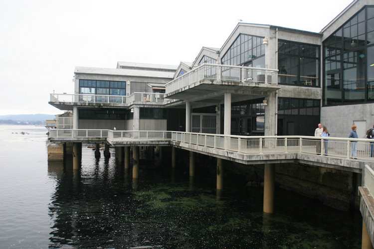 Monterey Aquarium - 2008