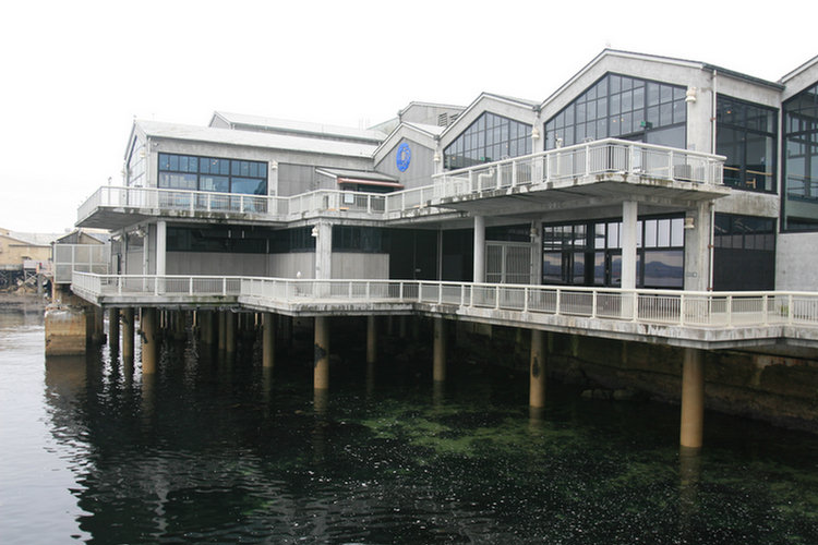 Monterey Aquarium - 2008