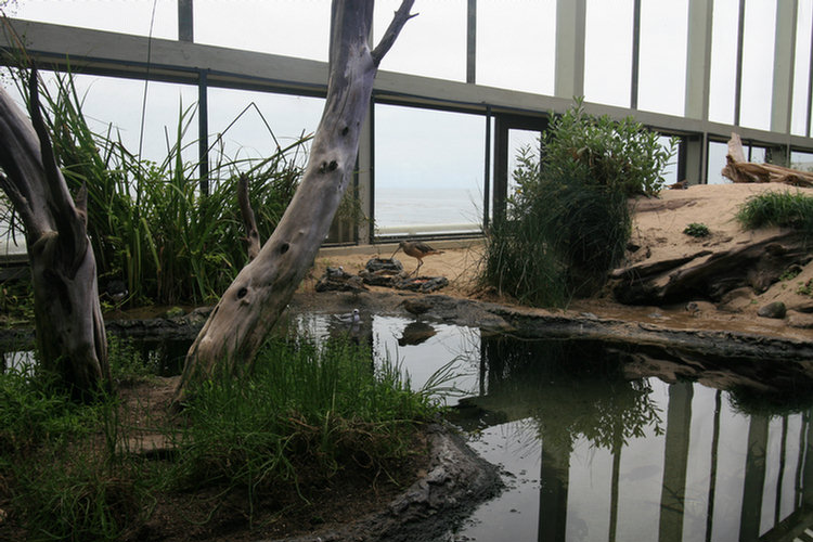 Monterey Aquarium - 2008