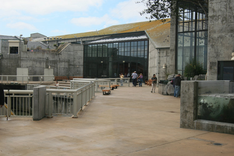 Monterey Aquarium - 2008