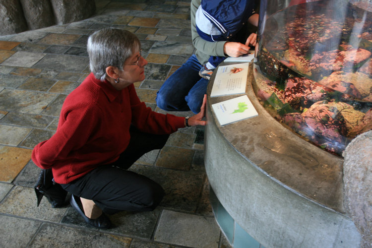 Monterey Aquarium - 2008