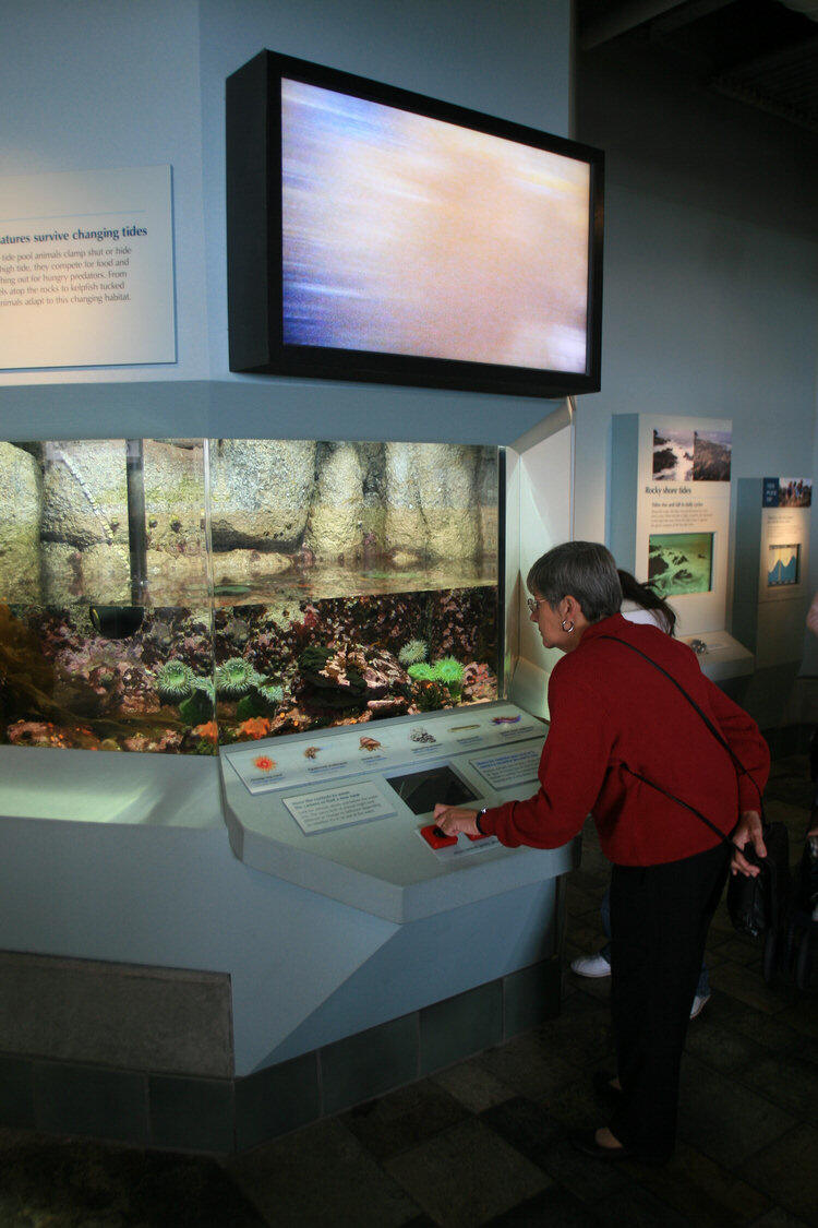 Monterey Aquarium - 2008