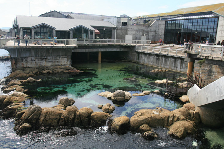 Monterey Aquarium - 2008