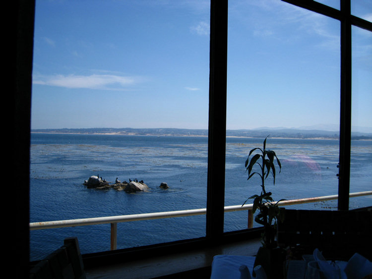 Monterey Aquarium Lunch Time
