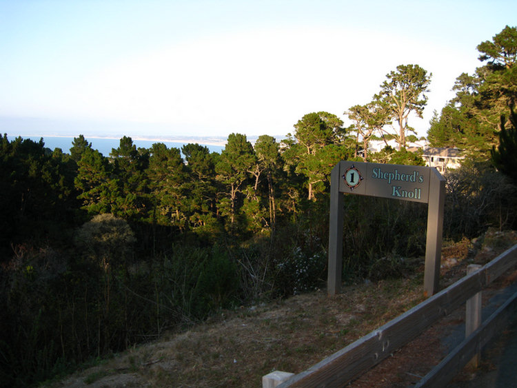 Big Sur omatofest 2008