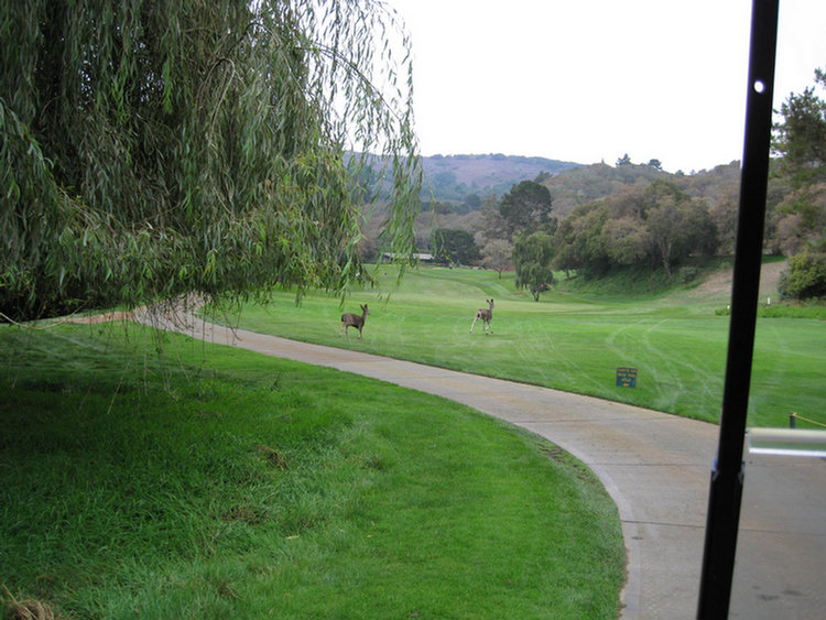 Tomatofest Round One Of Golf