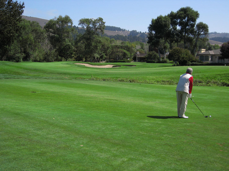 Tomatofest Round One Of Golf