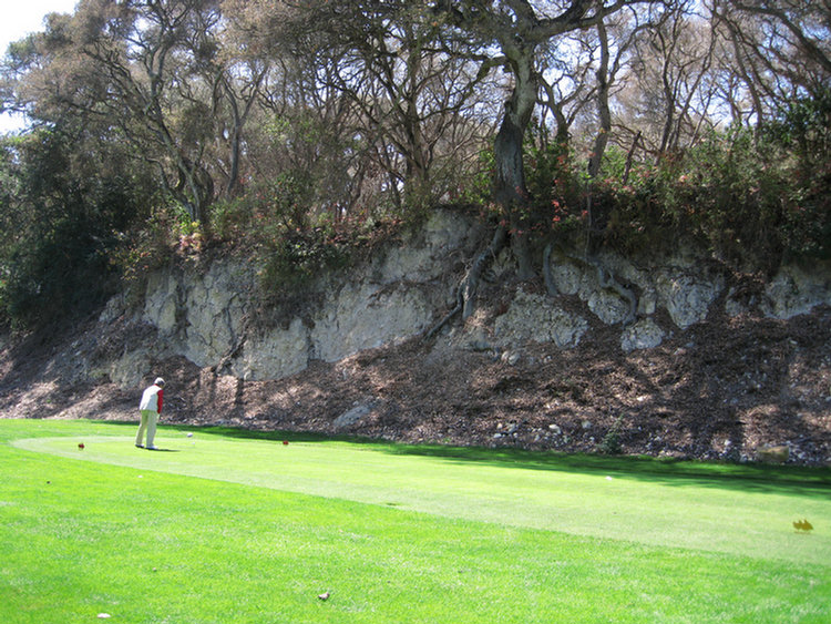 Tomatofest Round One Of Golf