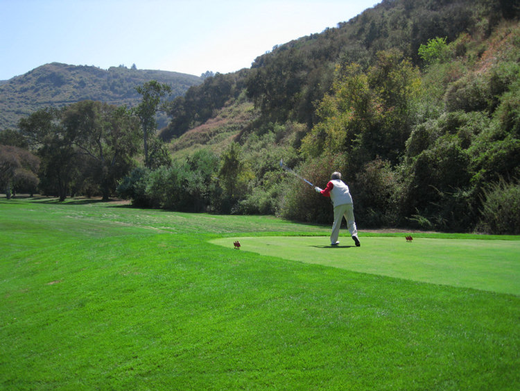 Tomatofest Round One Of Golf