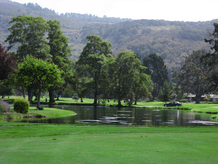 Tomatofest Round One Of Golf