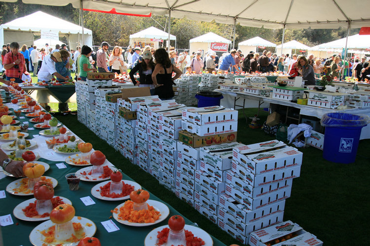 Tomatofest 2008