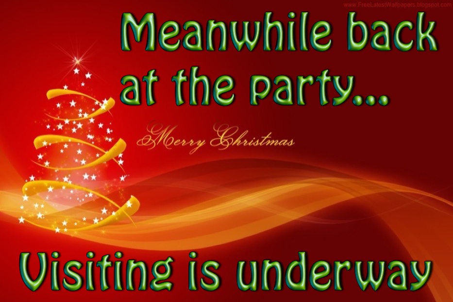 Topper's 2014 Mistletoe Ball