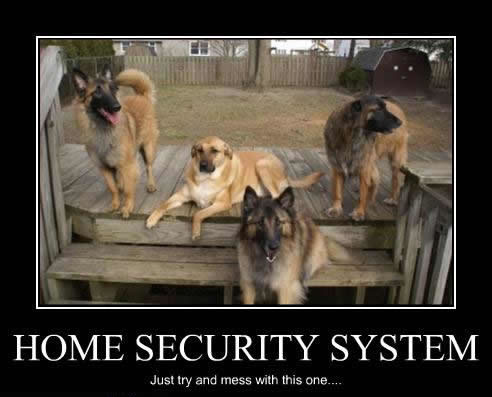 Home security