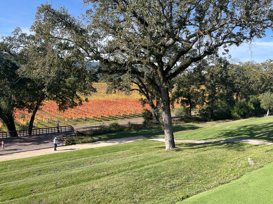 Sonoma wineries