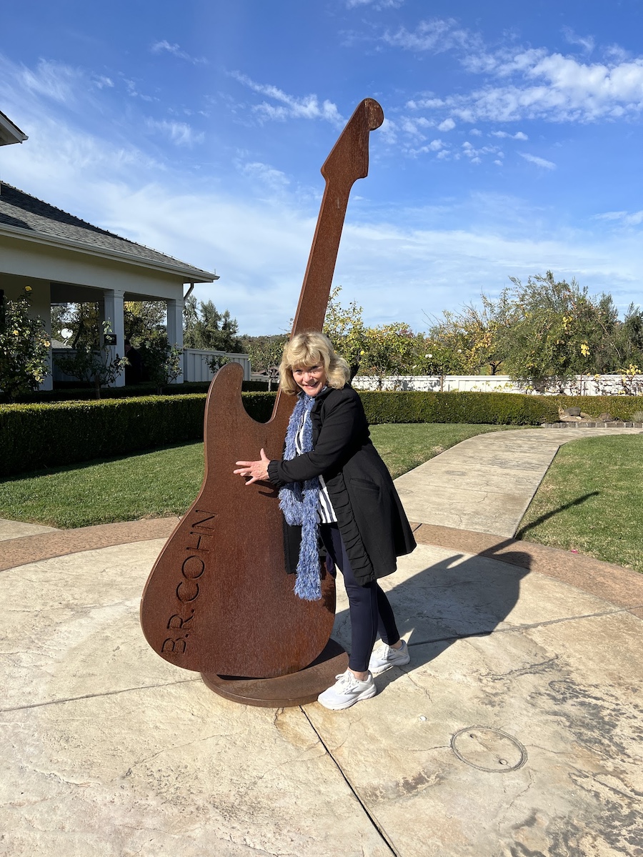 Sonoma wineries