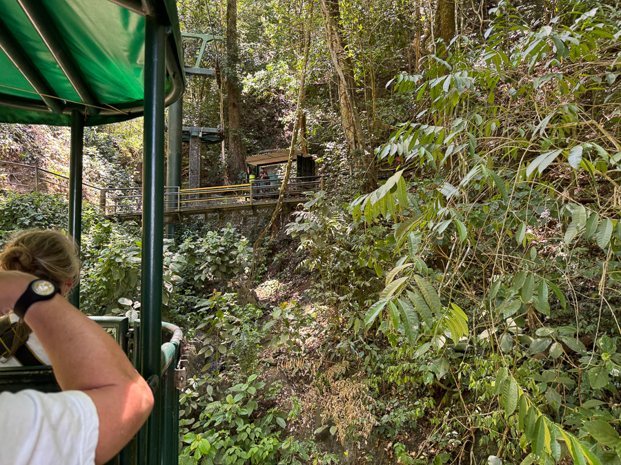 2024-04-13 Zip Lining In Costa Rica