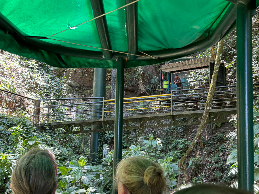 2024-04-13 Zip Lining In Costa Rica