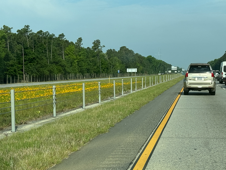 2024-04-16 Savannah To Soddy-Daisy