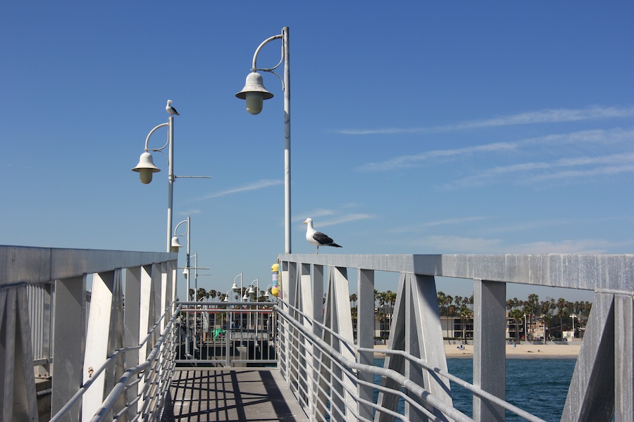 June 4th Water Taxi adventure