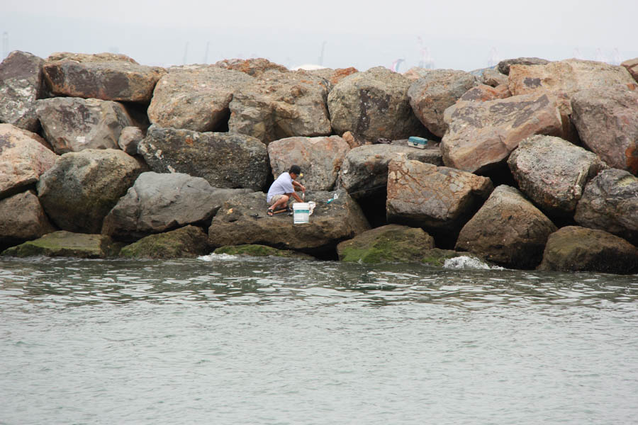July 1st 2016 Water Taxi Adventure