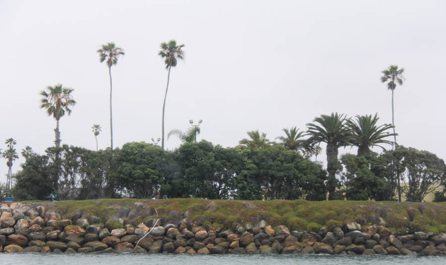 July 1st 2016 Water Taxi Adventure